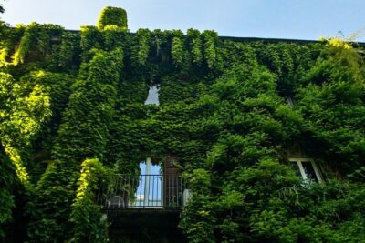 Art Thief in Brera: Self-Guided Puzzle Quest in Milan