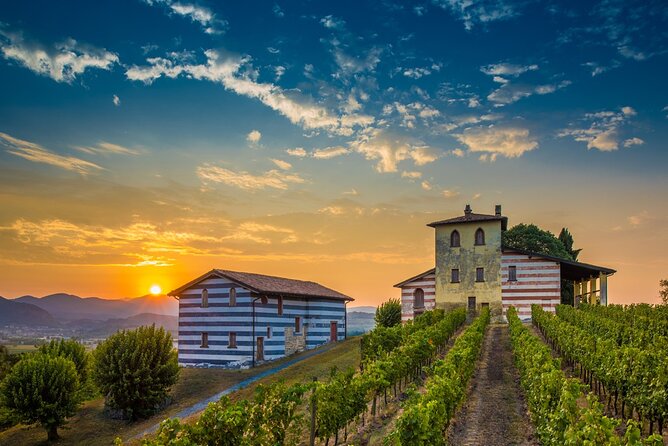 Bergamo and Franciacorta with lunch and cellar visit - Franciacorta wine route, a guided cellar visit with DOCG tasting