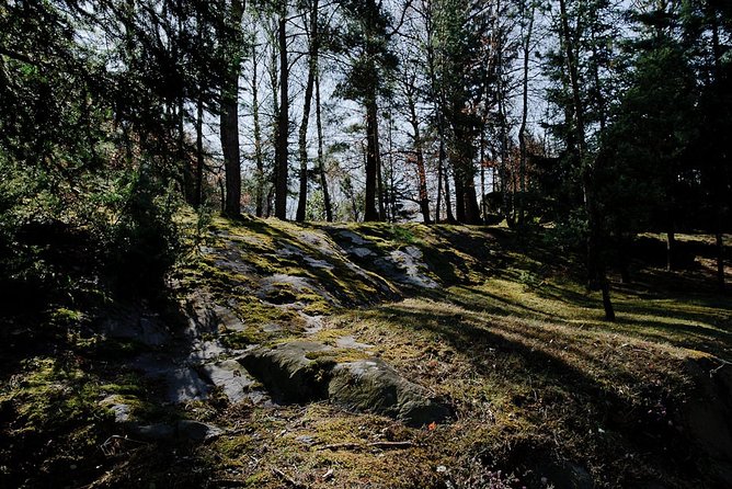Day trip from Milan: cave paintings in the enchanting Val Camonica - Key things to know before you go to Valcamonica and Bienno