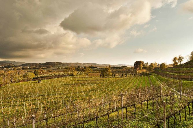Day trip from Milan: Franciacorta, a paradise for wine lovers! - private tour - Key Things You’ll Notice on This Franciacorta Day