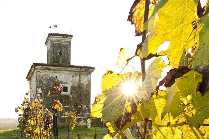 Day trip from Milan: Franciacorta, a paradise for wine lovers! - private tour - Why Franciacorta Feels Like a Real Wine Region (Not a Quick Stop)