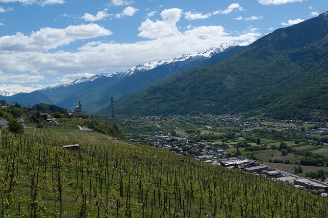 Day trip from Milan: Franciacorta, a paradise for wine lovers! - private tour - The Winery Tasting With Appetizers: Where the Education Happens