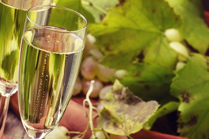 Day trip from Milan: Franciacorta, a paradise for wine lovers! - private tour - Who This Tour Suits Best (And Who Might Want a Different Style)