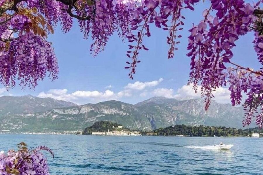 From Como: Bellagio and Lugano Tour with Lake Como Cruise - Key things to know before you go