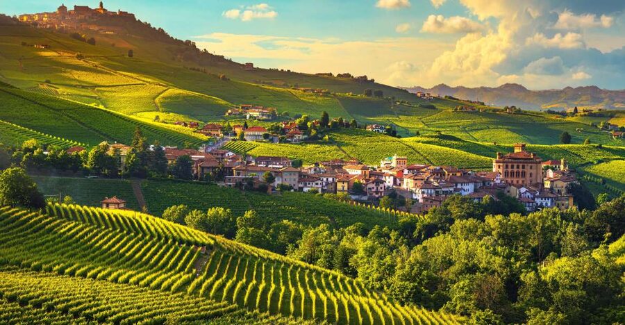 From Milan: Barolo Wine Tasting, Alba Tour and Castle Visit - Key Points Worth Marking on Your Map