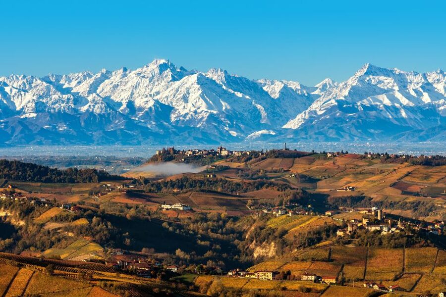 From Milan: Barolo Wine Tasting, Alba Tour and Castle Visit - The Winery Stop: Barolo Tasting in a Family-Run Cellar