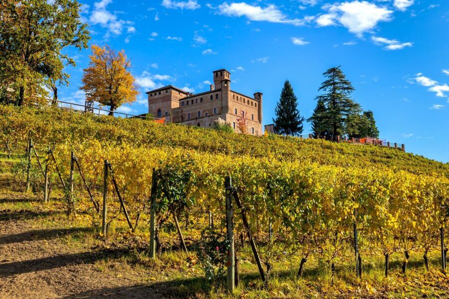 From Milan: Barolo Wine Tasting, Alba Tour and Castle Visit - The Enoteca Moment: A Wine Shop With Old-School Italian Flavor