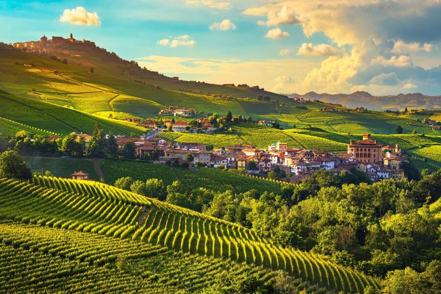 From Milan: Barolo Wine Tasting, Alba Tour and Castle Visit - Getting There: Milan Pickup Choices and How the Day Starts