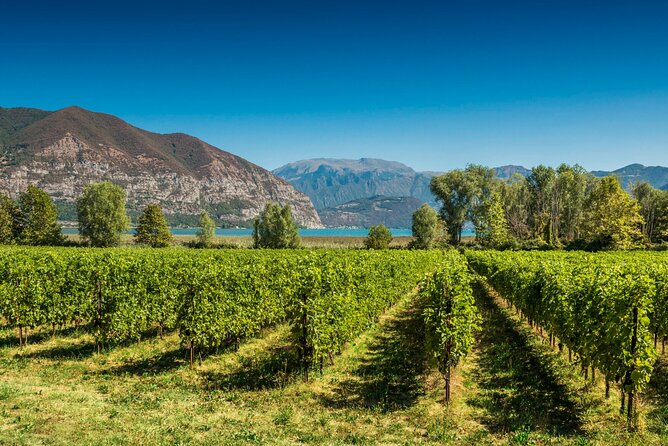 From Milan Full Day in Franciacorta 2 Wineries and Lunch - Franciacorta in a day: what makes this outing work so well