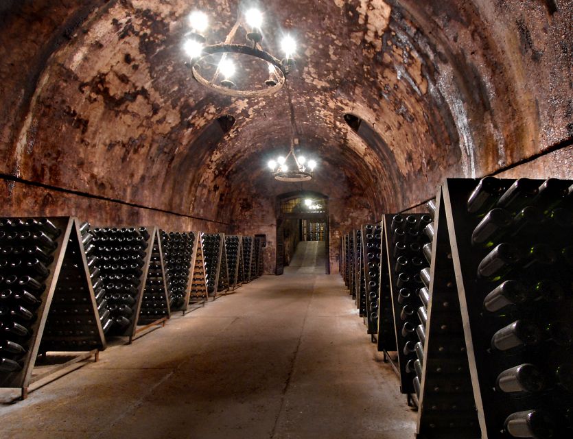 From Milan: Full Day in Franciacorta. 2 Wineries & Lunch - Stop Two at Berlucchi, Historic Cellars and Classic Franciacorta