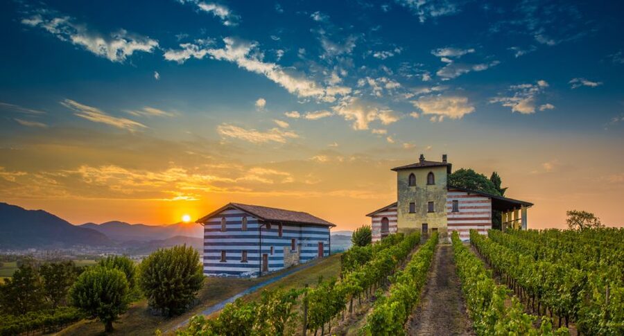 From Milan: Full Day in Franciacorta. 2 Wineries & Lunch - From Bignami to the Franciacorta Wine Route, This Part Sets the Tone