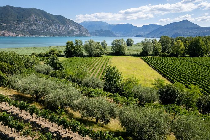 From Milan: Lake Iseo, Bergamo & Franciacorta Wine Tour - Lunch in the Region: When You Get to Choose