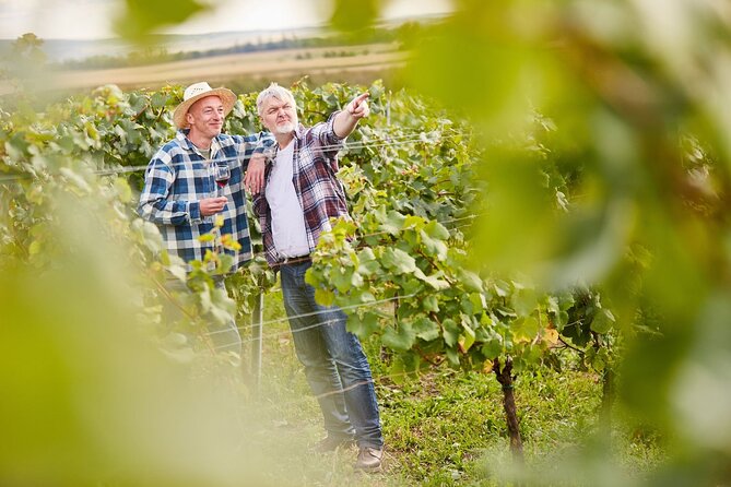 From Milan: Lake Iseo, Bergamo & Franciacorta Wine Tour - Who This Tour Fits Best