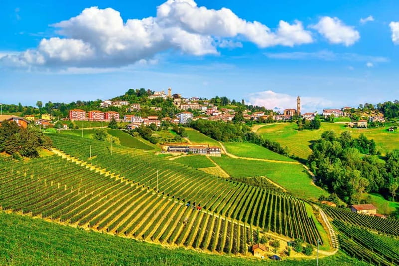 From Milan: Langhe Wine Region Day Trip with Barolo Tasting - Milan to the Langhe, Without the Rental-Car Headache