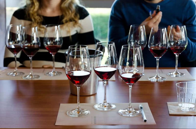 From Milan: Langhe Wine Region Day Trip with Barolo Tasting - Value for Wine Lovers and Milan First-Timers