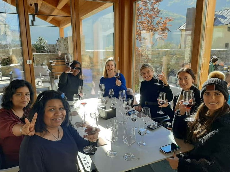 From Milan: Scenic Alps Day Trip with Bernina Train Ride - Price and value check for $182, what you are really paying for