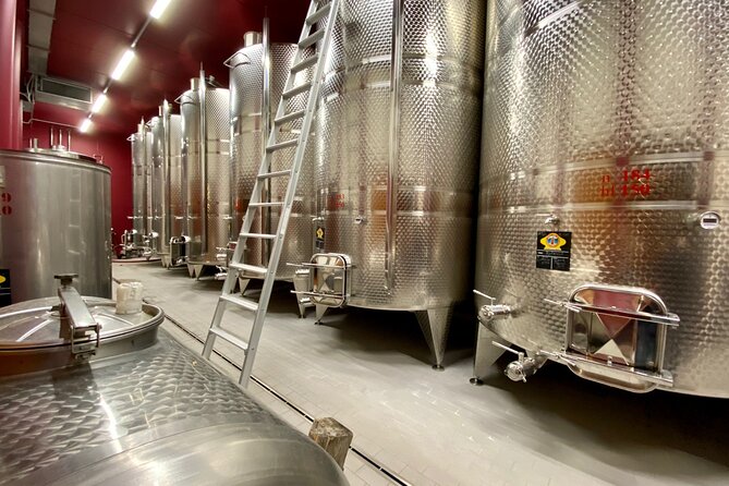 From Milan to Venice, through the Amarone region, Lunch & Verona - Verona in the middle of your route: culture without the headache