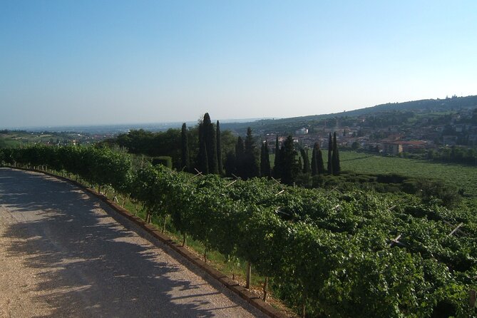 From Milan to Venice, through the Amarone region, Lunch & Verona - Go-Pro and e-bike: how the included tech changes the vibe