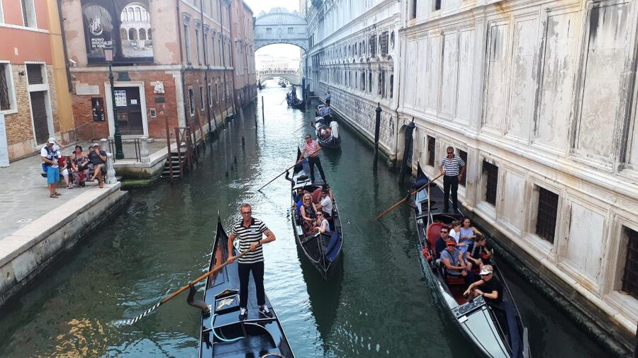 From Milan: Venice City Highlights Guided Day Trip - Why This Milan to Venice Day Trip Feels Worth It