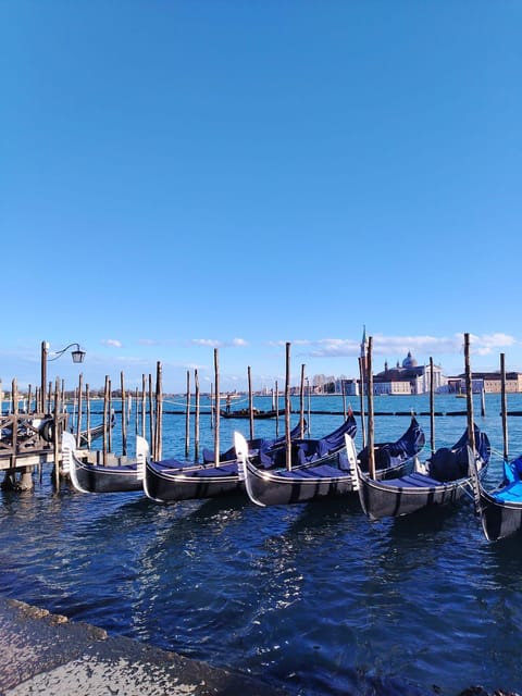 From Milan: Venice City Highlights Guided Day Trip - The Route: Milan Coach, Then Venice by Water