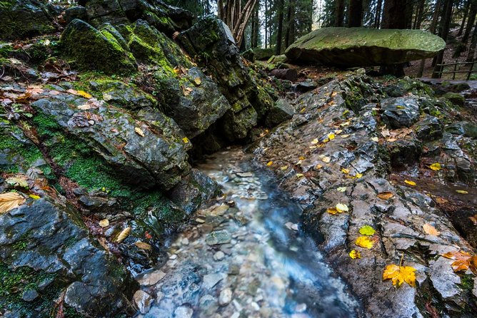 Lake Como trekking private guided tour, from Milan - The Little Touches: Coffee and Trail Timing
