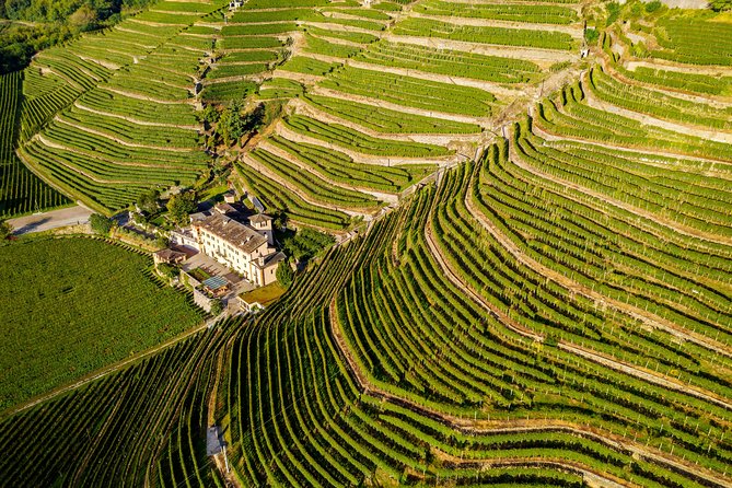 Lake Como & UNESCO Dry-stone Walls Vineyards - Key things to know before you go