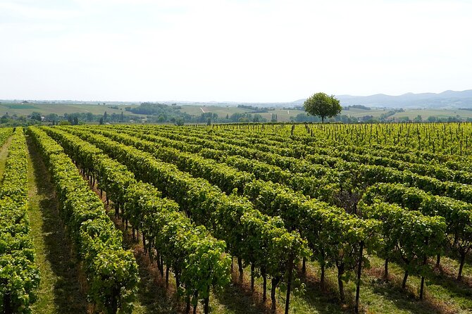 Lake Iseo & Franciacorta Winery. Scenic & Wine Tasting tour - Brescia time and the weather backup plan