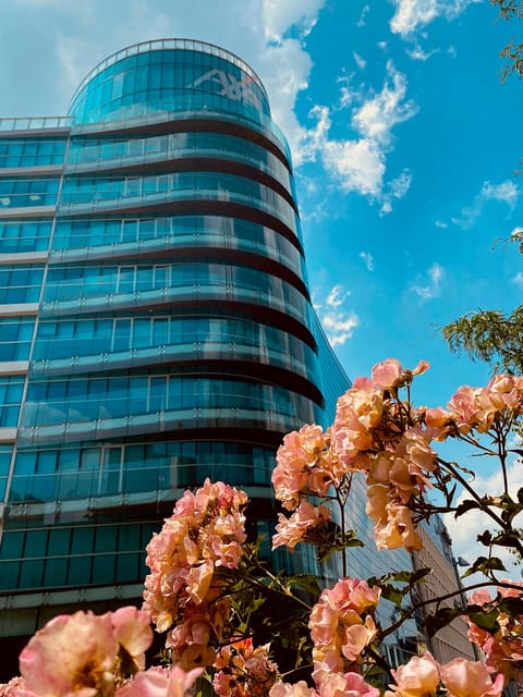 Milan: between innovation and eclectic (Porta Nuova & Isola) - Porta Nuova and Isola in 2.5 hours: what this tour does well