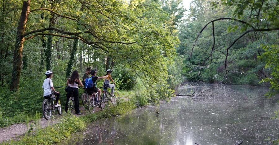Milan: Bike Tour with Picnic on the turtle lake - Quick highlights from the Milan park bike loop