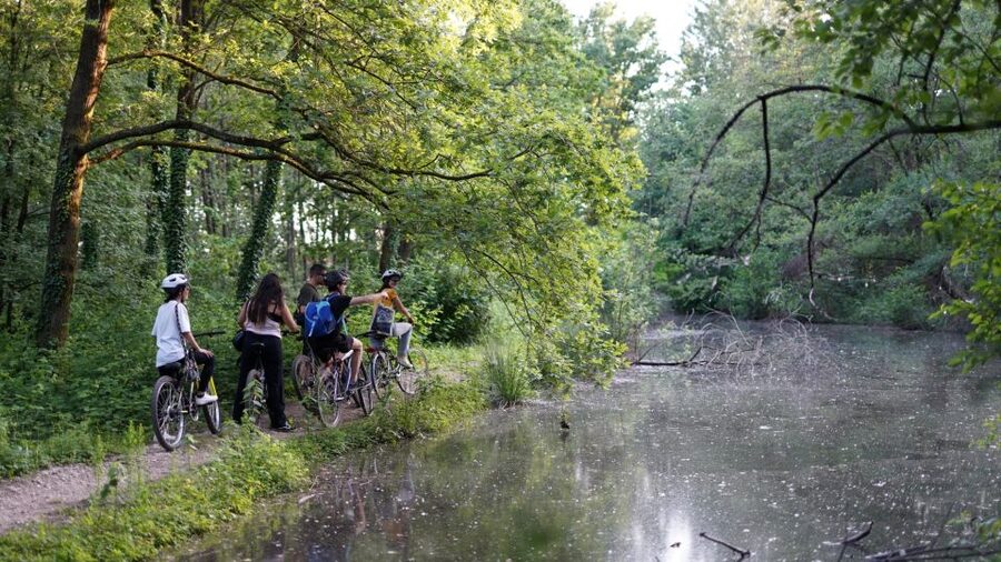 Milan: Bike Tour with Picnic on the turtle lake - Stop 1: Boscoincittà, the aperitif and picnic reset