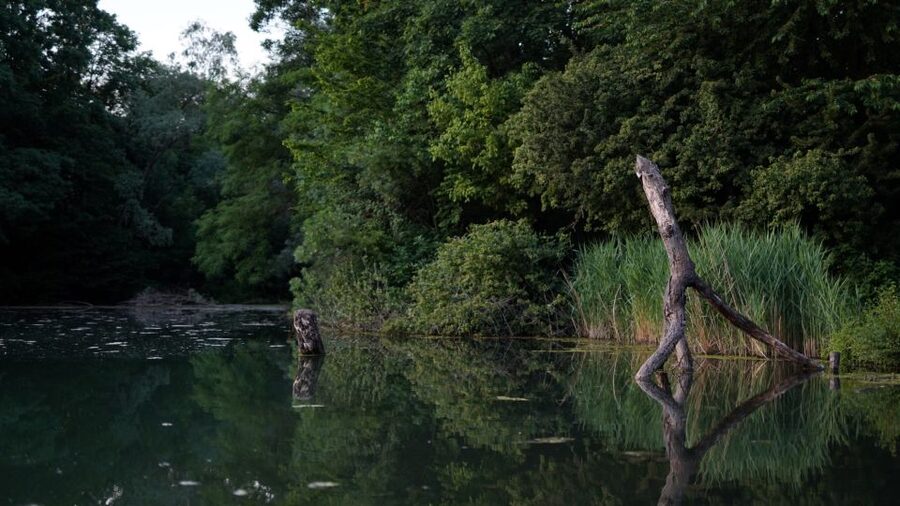 Milan: Bike Tour with Picnic on the turtle lake - Value check: is $46 for 2.5 hours actually fair?