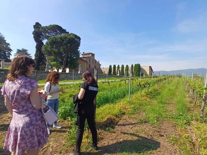 Milan: Brescia & Franciacorta with Wine Tasting Small Group - Brescia guided tour: Loggia square, Victoria square, Duomo, and Foro Romano
