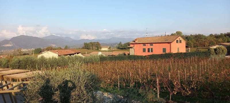 Milan: Brescia & Franciacorta with Wine Tasting Small Group - Winery visit and tasting: traditional production, two wines, and regional snacks