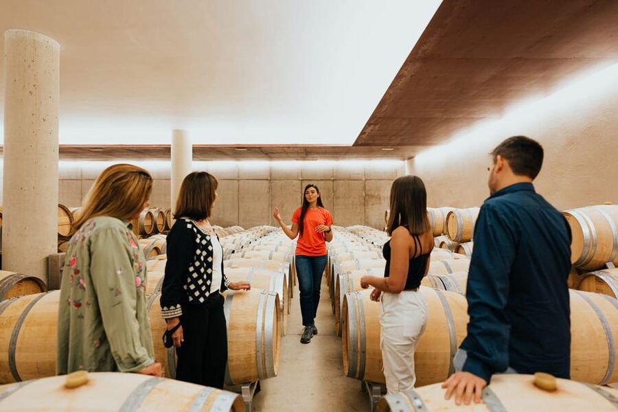 Milan Day Trips: Barolo Wine Tour with a Private Driver - Key highlights that make this tour worth your attention