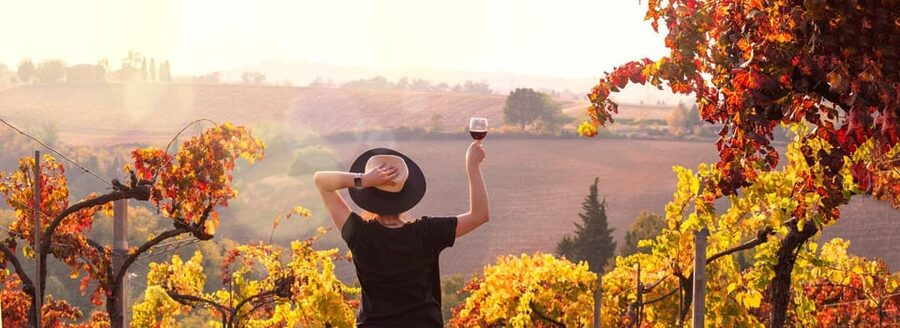 Milan Day Trips: Barolo Wine Tour with a Private Driver - Piedmont and Barolo, in one day that actually makes sense