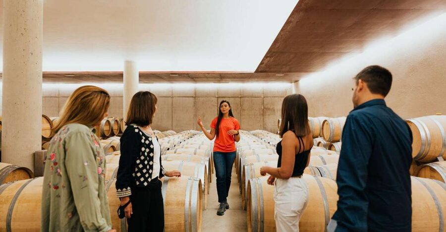 Milan Day Trips: Barolo Wine Tour with a Private Driver - Price and value: what you get for $1,005.02 per person
