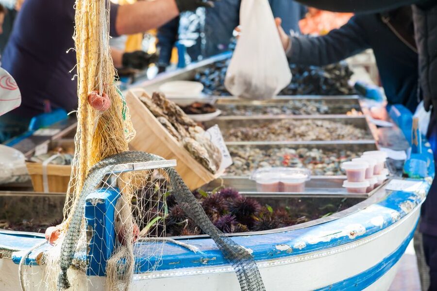 Milan: Market and Meal at a Local's Home - Should You Book This Milan Market and Home Meal?