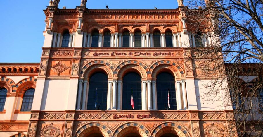 Milan: Natural History Museum Entry Ticket & Audio Guide - Key highlights at a glance