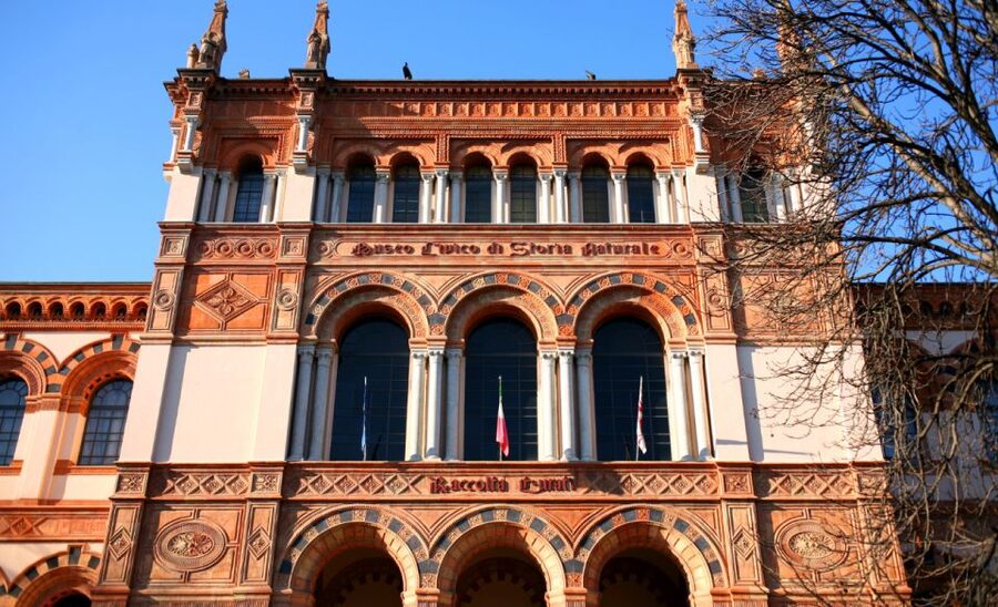 Milan: Natural History Museum Entry Ticket & Audio Guide - Language options and how to plan for mixed groups