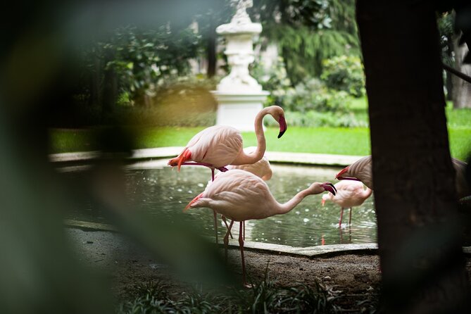Milan Private Sightseeing Tour for Kids and Families with Local Guide - Price and value: $276.67 per person for a private family plan