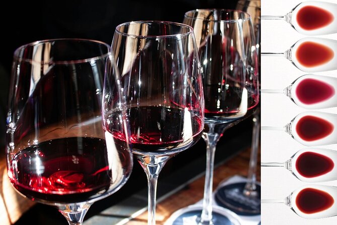Milan: sensory journey to discover 3 unmissable red wines - Key takeaways before you go