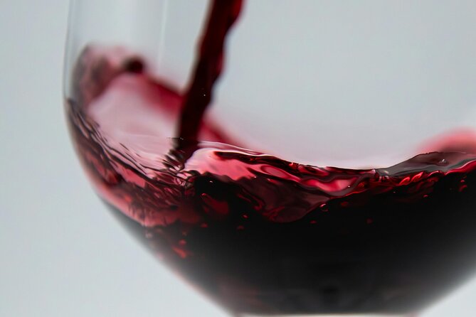 Milan: sensory journey to discover 3 unmissable red wines - The sensory method: how to judge wine body with your senses