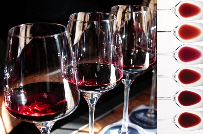 Milan: sensory journey to discover 3 unmissable red wines - Three reds, one lesson: learning structure from different parts of Italy