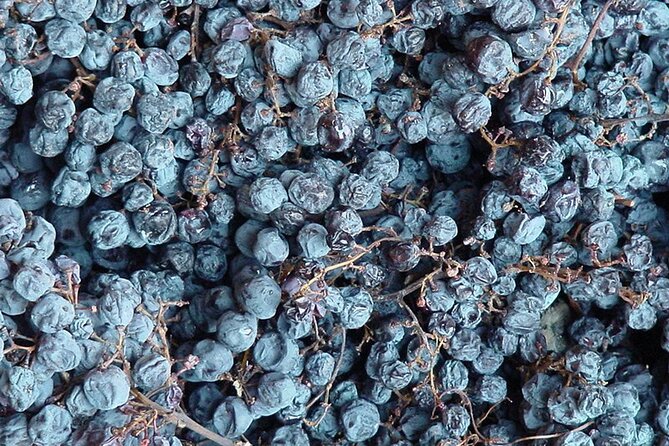 Milan: sensory journey to discover 3 unmissable red wines - What you learn from Cornelia, and why her teaching style matters
