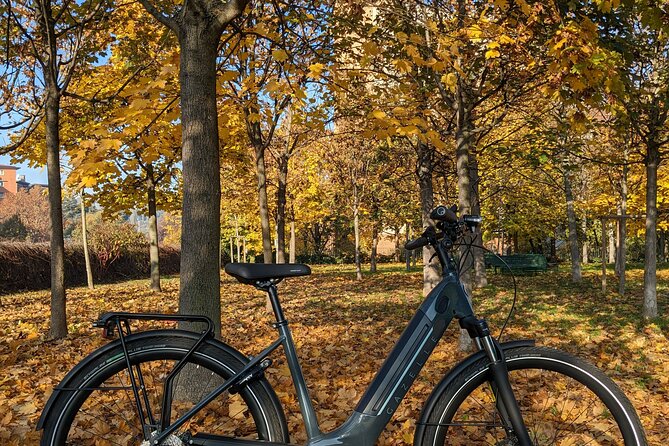 Milano e l'acqua. Tour dei parchi milanesi - Why Milano e l’acqua feels smarter than hopping transit
