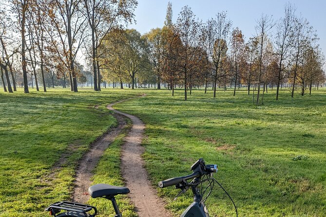 Milano e l'acqua. Tour dei parchi milanesi - Parco delle Cave: lakes, animals, and a calmer pace break