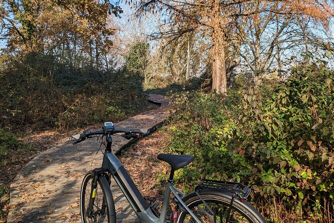 Milano e l'acqua. Tour dei parchi milanesi - Monte Stella for the big Milan view, plus the city’s football and skyline contrasts
