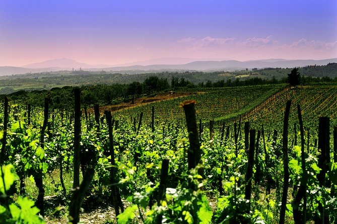 Private 8h Tour to winery in Franciacorta and Bergamo from Milan - Key highlights worth knowing before you go