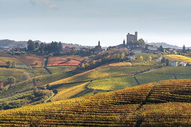 Private Langhe and Barolo Wine Tour from Milan - The tastings and wine lineup, and how to enjoy them without overdoing it