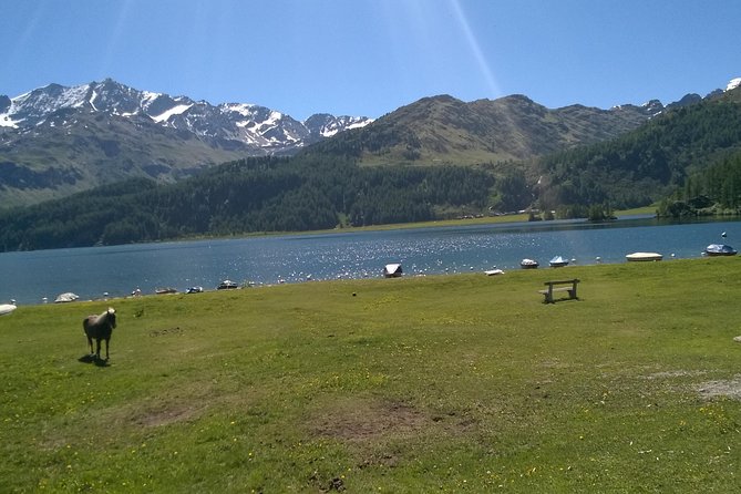 Private tour to Bernina train & Lake Como. Hotel pick-up - Riding the RED TRAIN: the climb, the route, the views